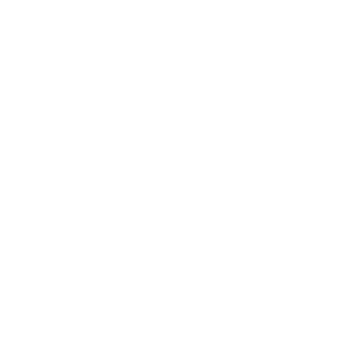 Boss Dijital
